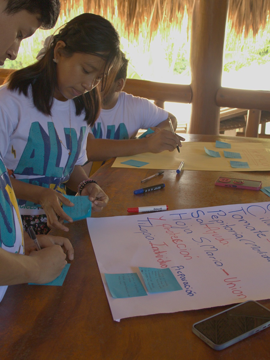 Jóvenes de Guatemala, Bolivia y Colombia 